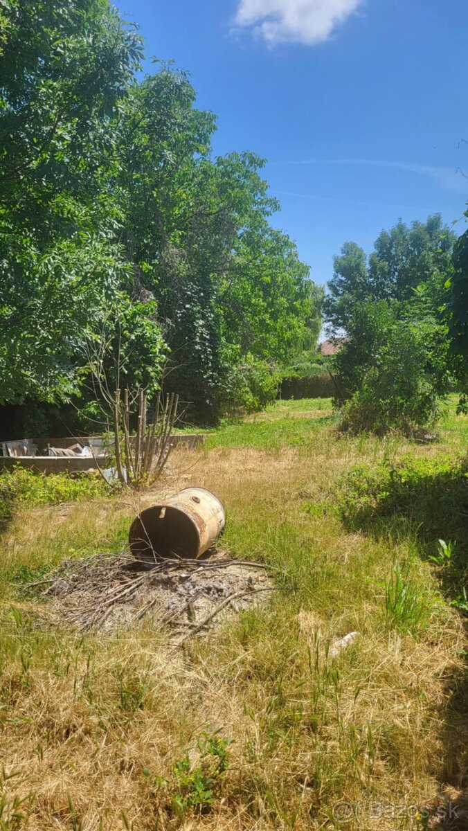 Na predaj RD Tekovské Lužany Veľký pozemok - 13