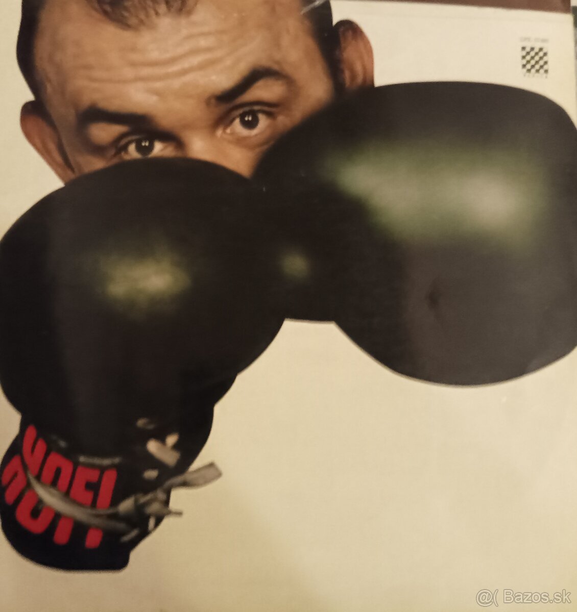 Veľké LP platne - 13