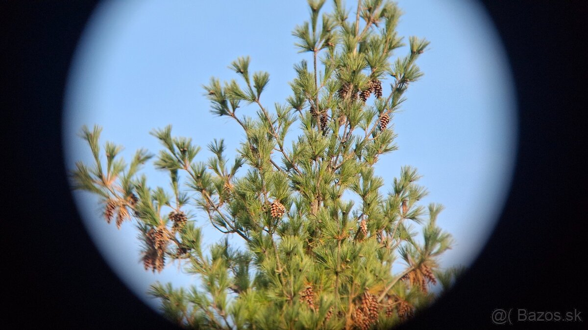 Ďalekohľad BPC 15X50 SOTEM - 13