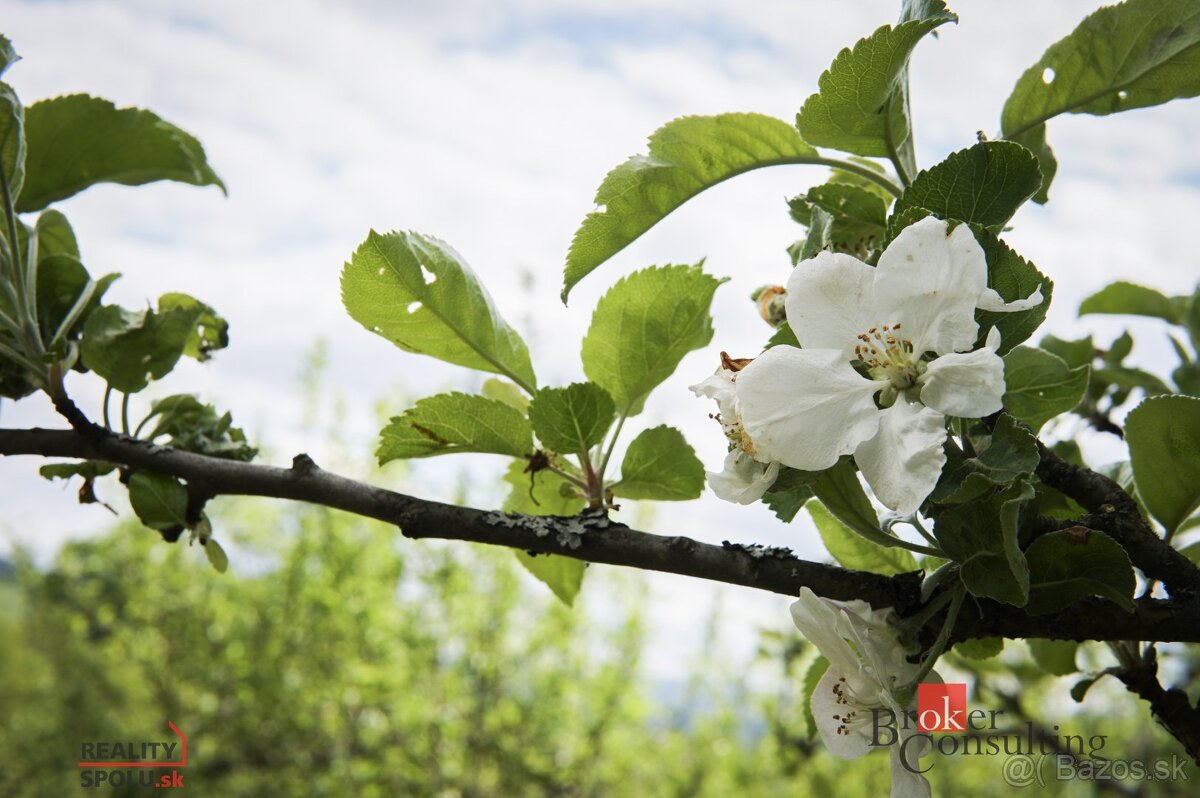 Na predaj pozemok 1898 m² - Horná Lehota, Nízke Tatry - 13