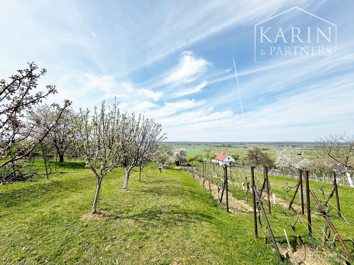 Vinohrad. domček po rekonštrukcii s vinohradom, za Líštinami - 13