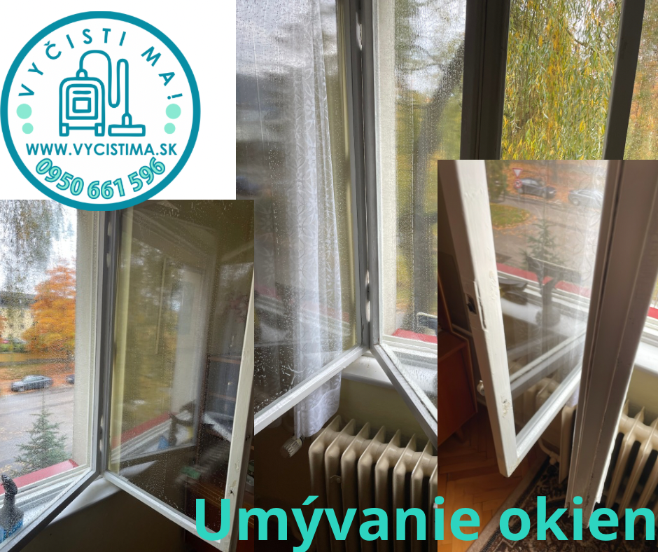 Tepovanie, umývanie okien, upratovanie domácnosti a firiem - 13