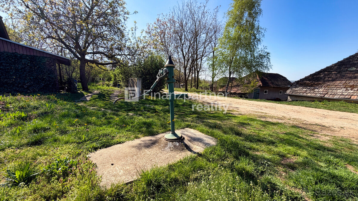 Záhrada 2190 m², Čechynce, Nitra - 13