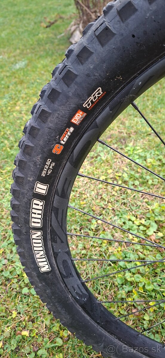 Predam Orbea Wild 2024 L - 13