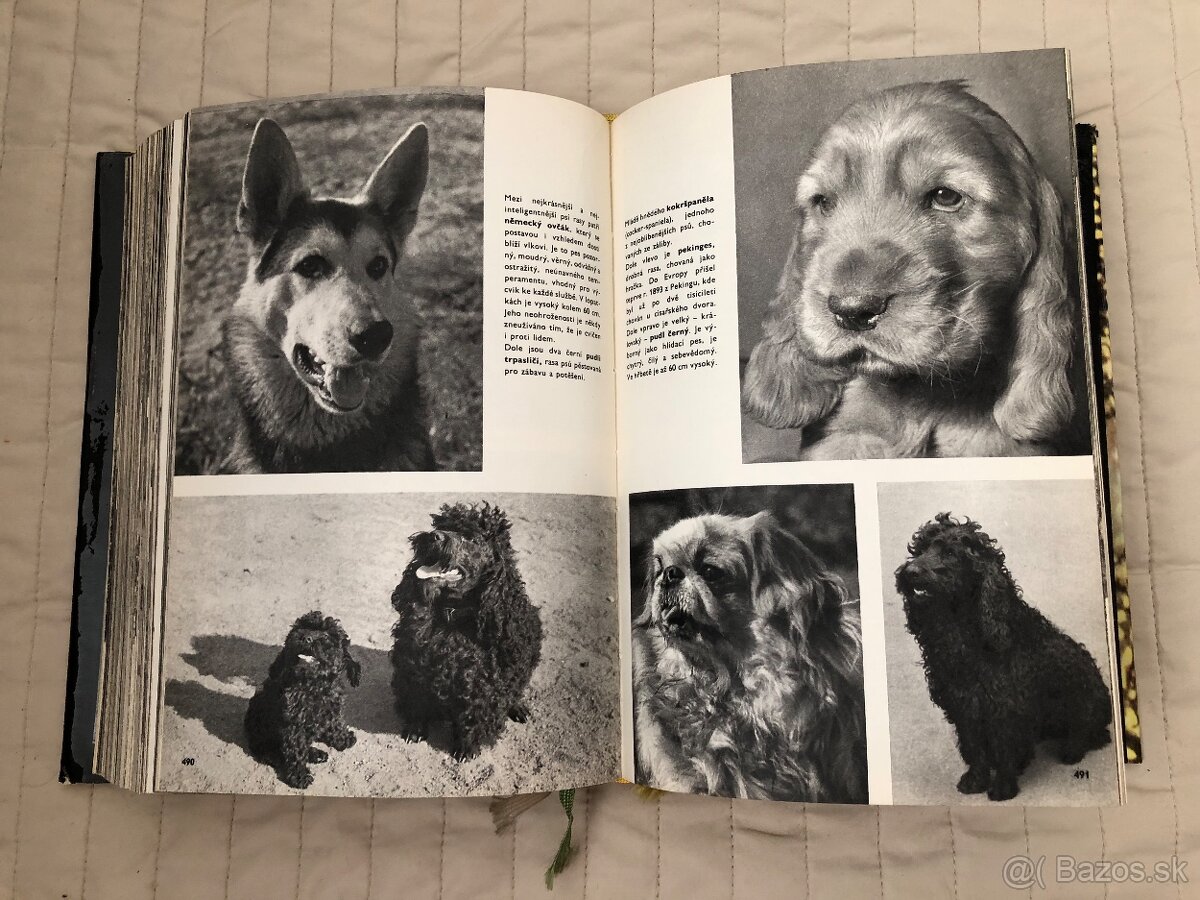 Encyklopédie o zvieratách - 13