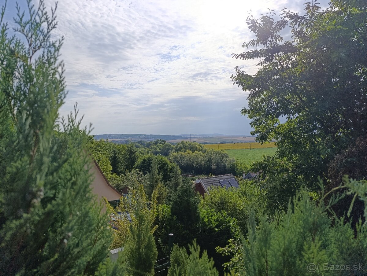 Predaj záhrady v Holíči - Pod Zadnou horou - 13