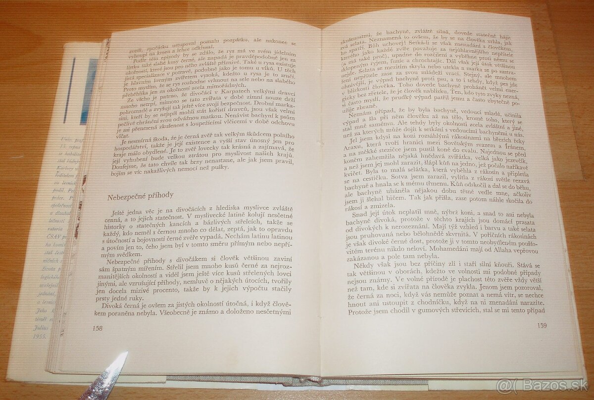 Lovy v Karpatech - 13