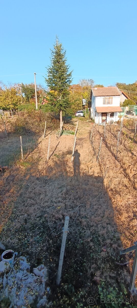 ČISTENIE POZEMKOV💪PÍLENIE DREVA💪KOSENIE KROV.RUČ RYĽOVANIE - 13