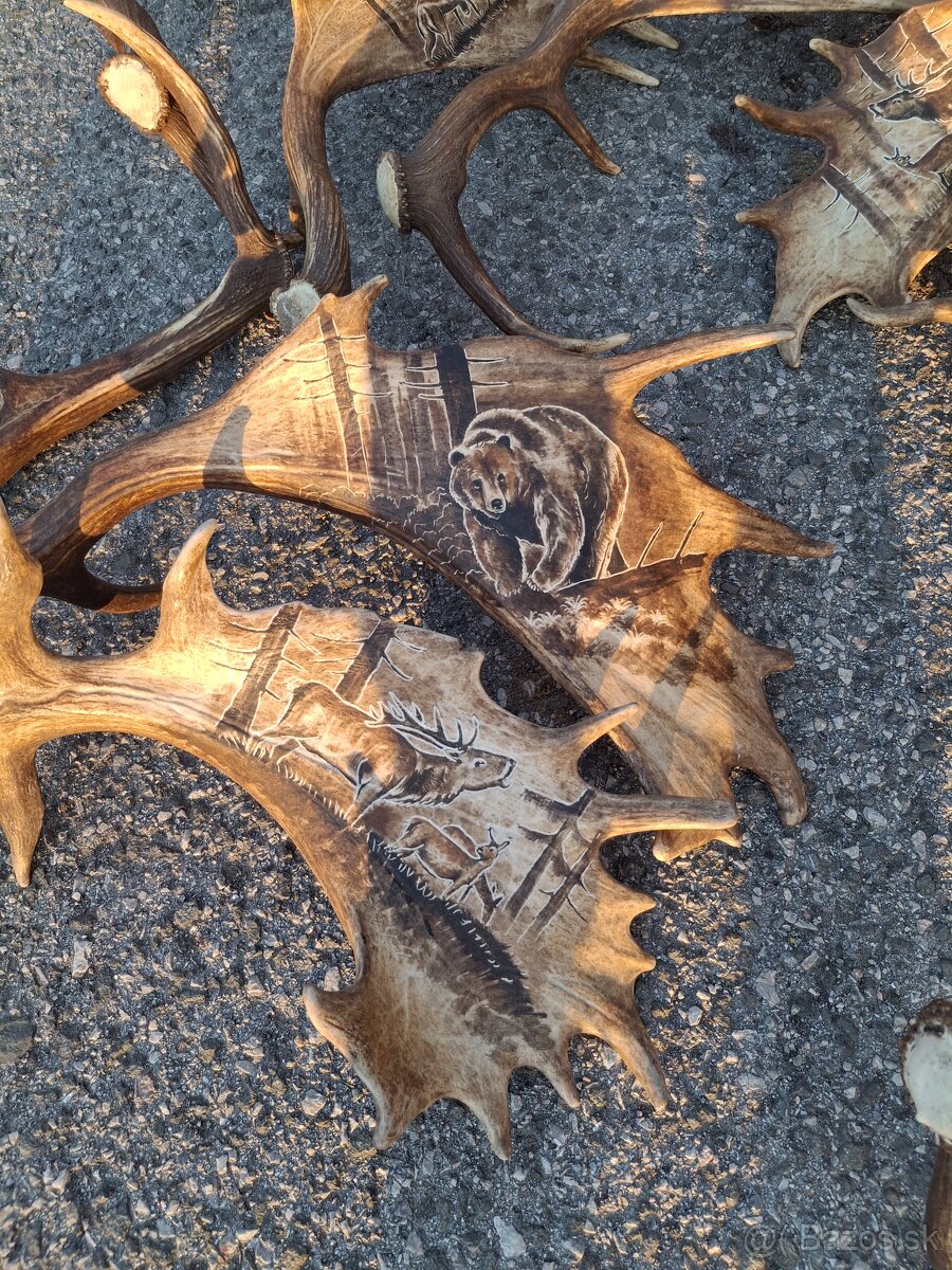 Parohy,zhody,trofeje - 13