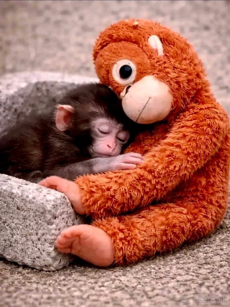 PUNCH original opička plyšová hračka - 13