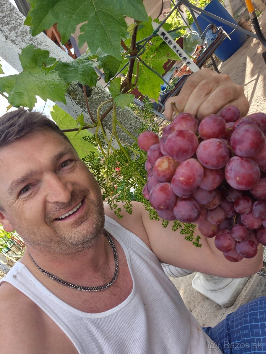 Predám pozemok v marcelovej. 1100m2 - 13