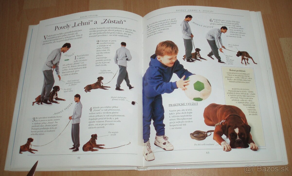 Výchova a výcvik psa - 13