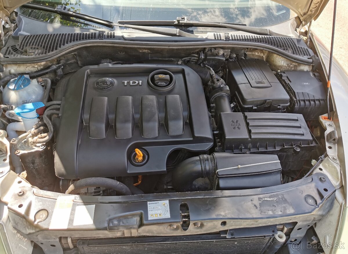 Octavia 1.9tdi 77kw bez DPF - 13