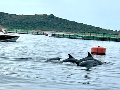 Apartmány Chorvátsko - prenájom - 13