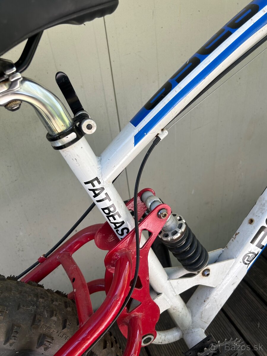 Fat-Bike - 13