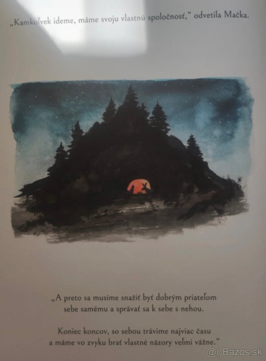 Veľká panda a malý drak; Cesta múdrej mačky - James Norsbury - 13