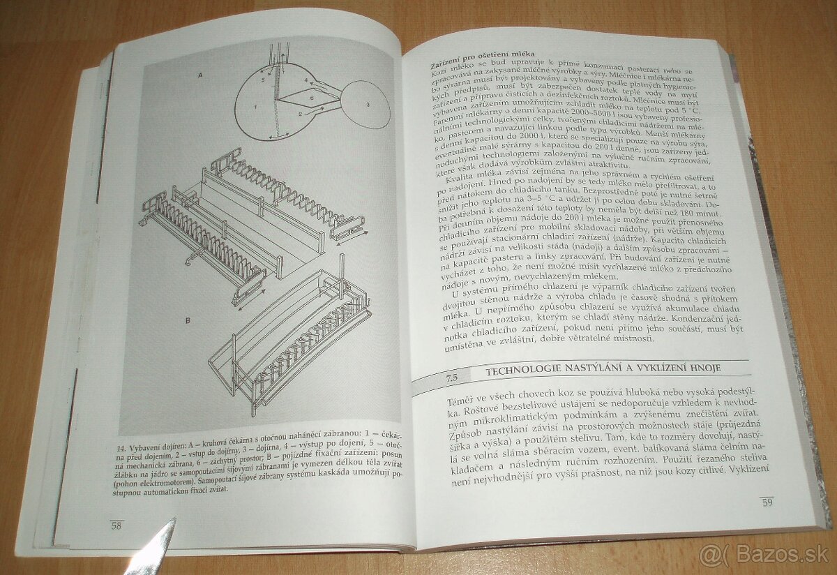 Chov koz - 13