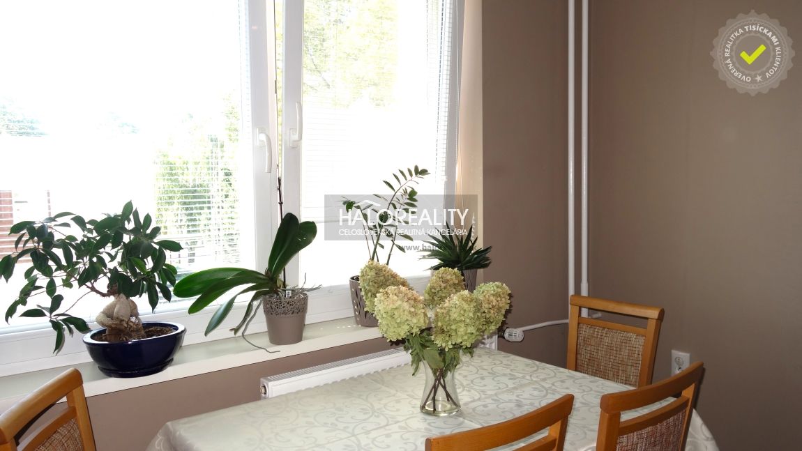 HALO reality - REZERVOVANÉ (prihláste sa na čakaciu listinu) - 13