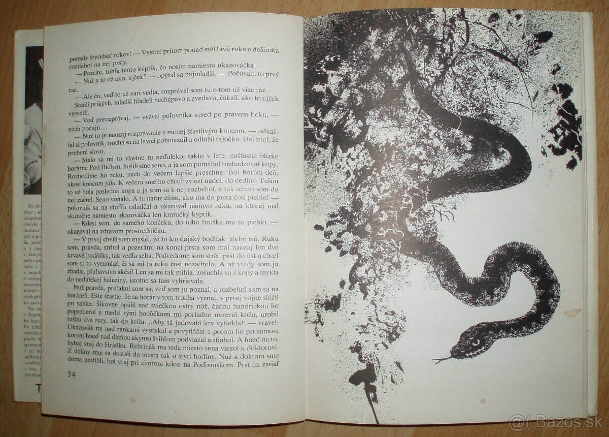 Trofej neznámeho strelca - 13