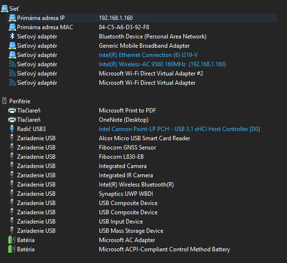 Notebook Lenovo ThinkPad T490 - 13