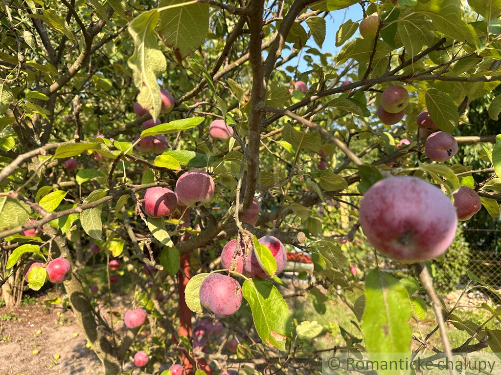 Na predaj záhradná chatka neďaleko rybníka – Nové Zámky, č - 13
