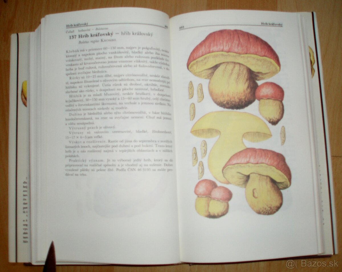 Malý atlas húb - 13