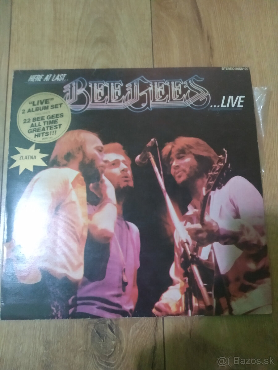 Predám zbierku 200+ vinylových platní (anglické, CZ/SK, HU) - 13