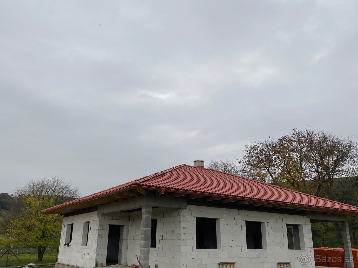 LEŠENIE - DEBNENIE - 13