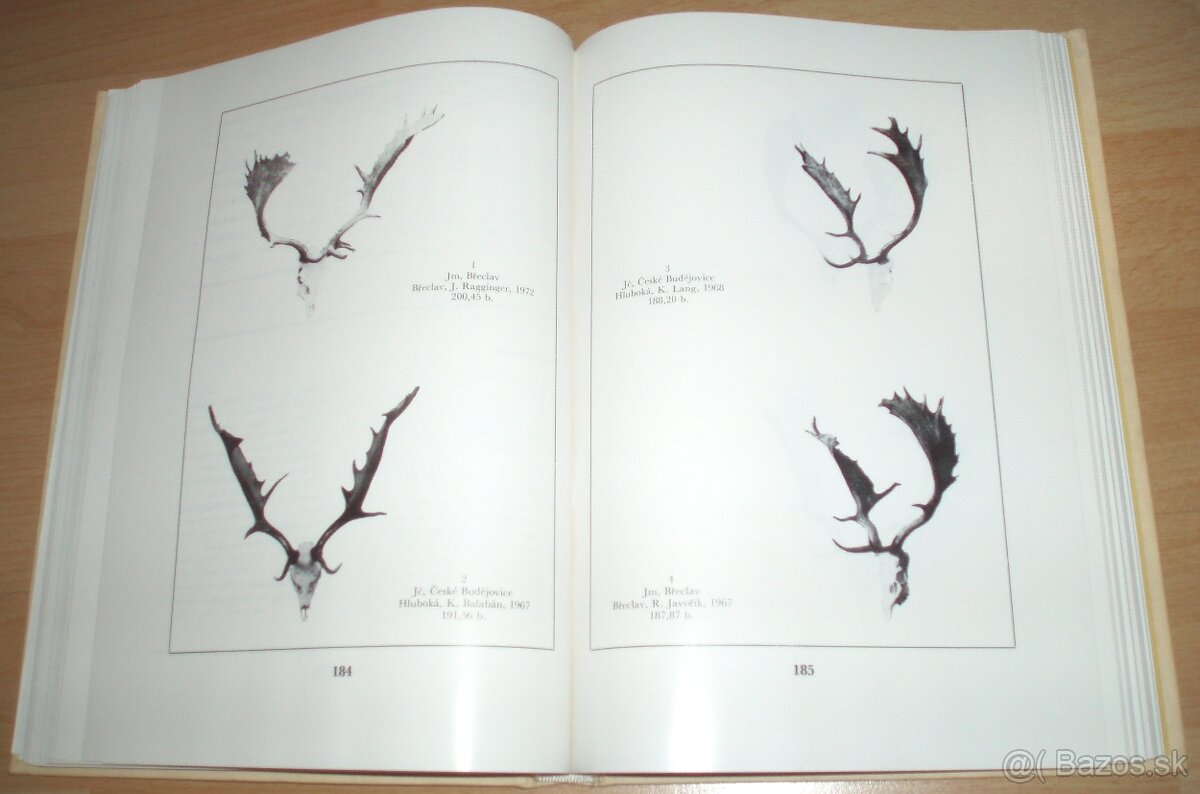 Zlaté trofeje ČSSR - 13