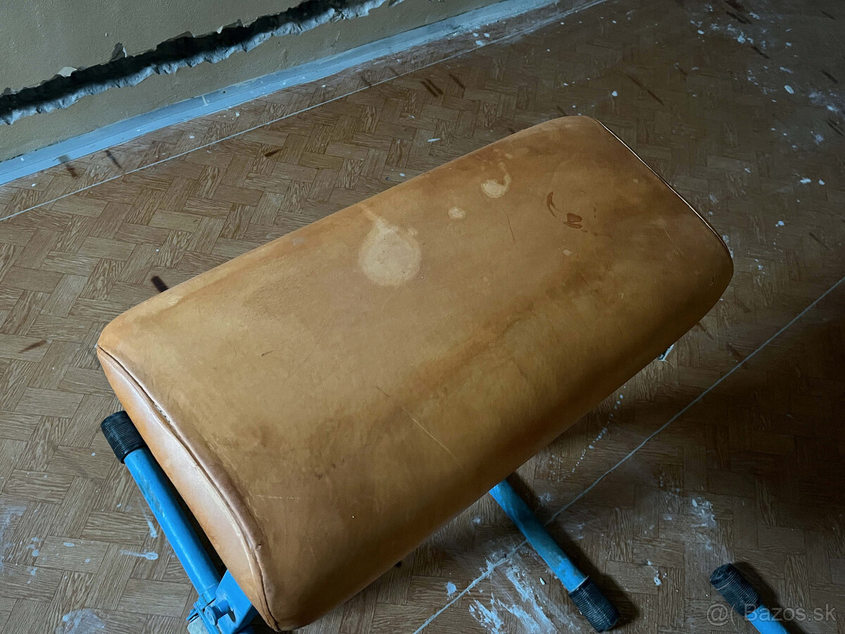 Gymnastická koza a kôň - 13