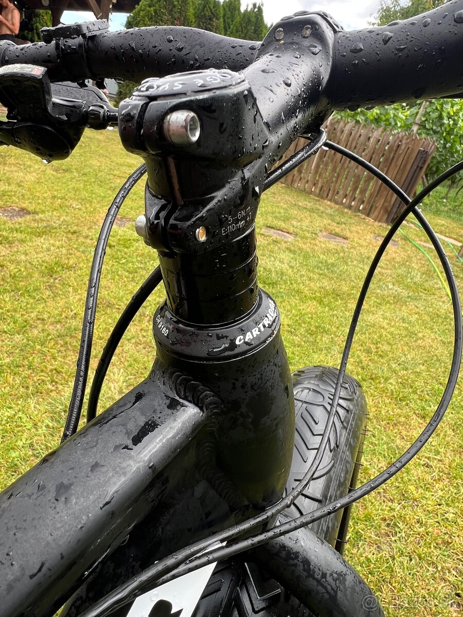 Fatbike - 13