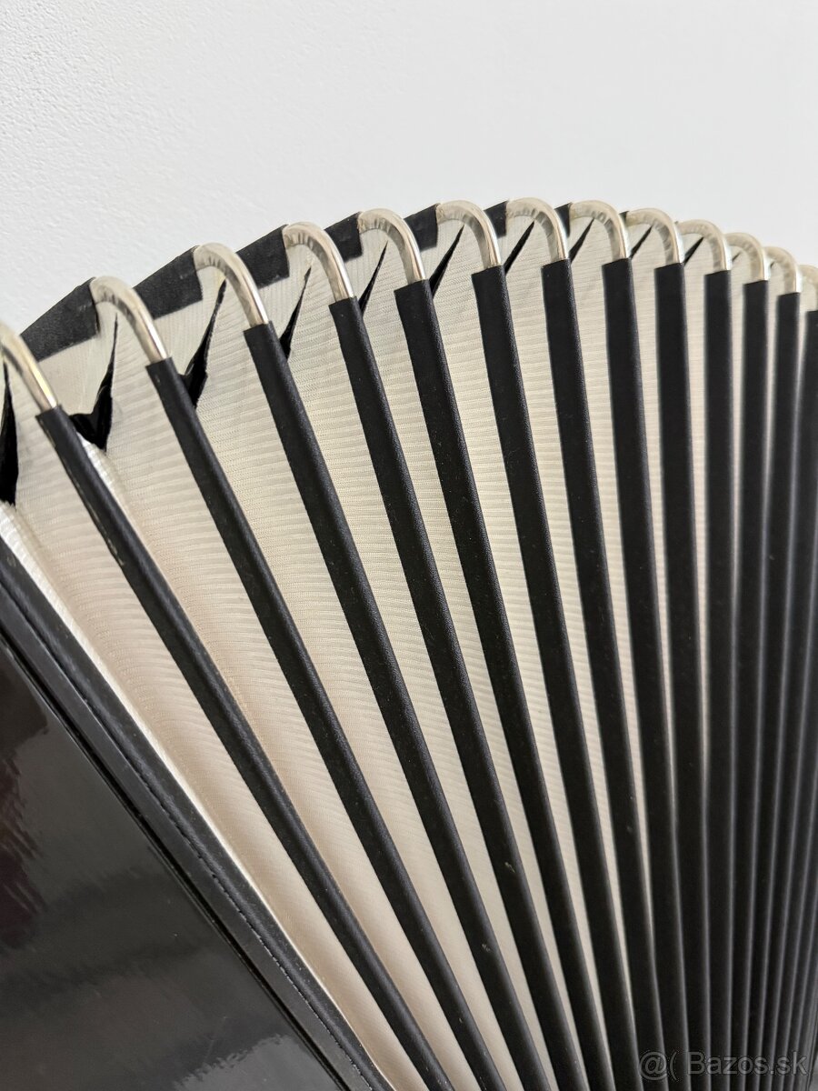 Akordeón Delicia - 13