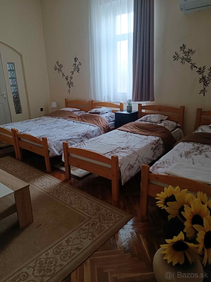 Gönc- Multifunkčný rodinný dom v Maďarsku 20 min. od Košíc - 13