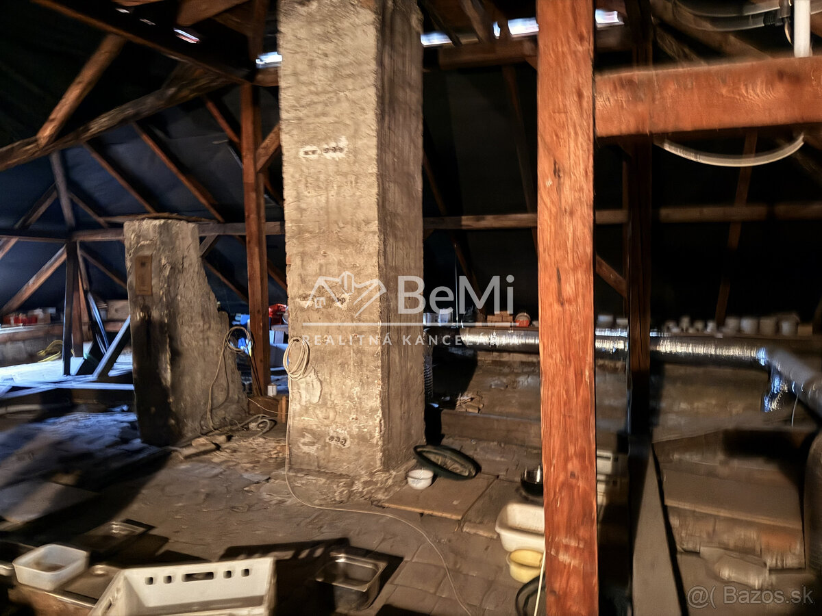 INVESTIČNÁ PRÍLEŽITOSŤ – CENTRUM TRENČÍNA 020-15-MIKUa - 13