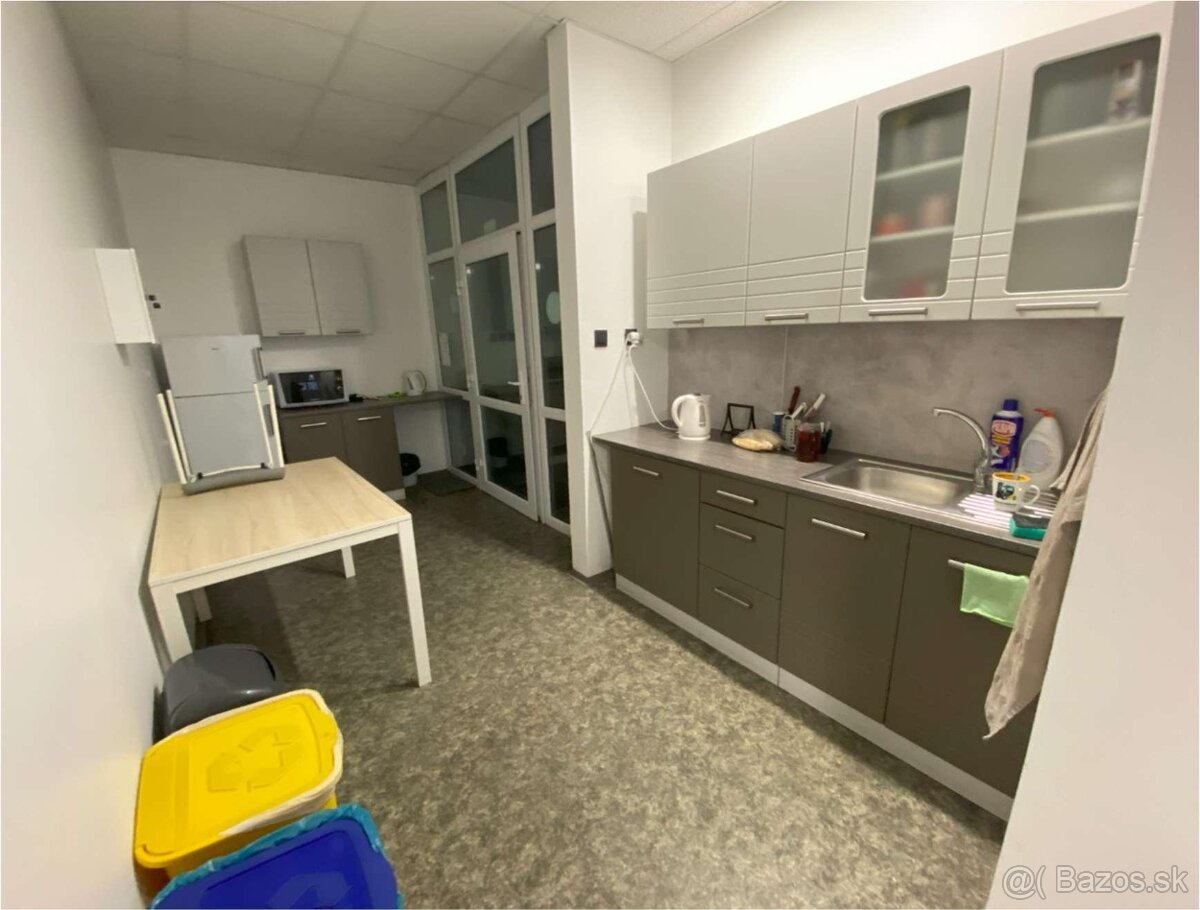 BH REAL ESTATE ponúka na prenájom areál v SENCI - 13