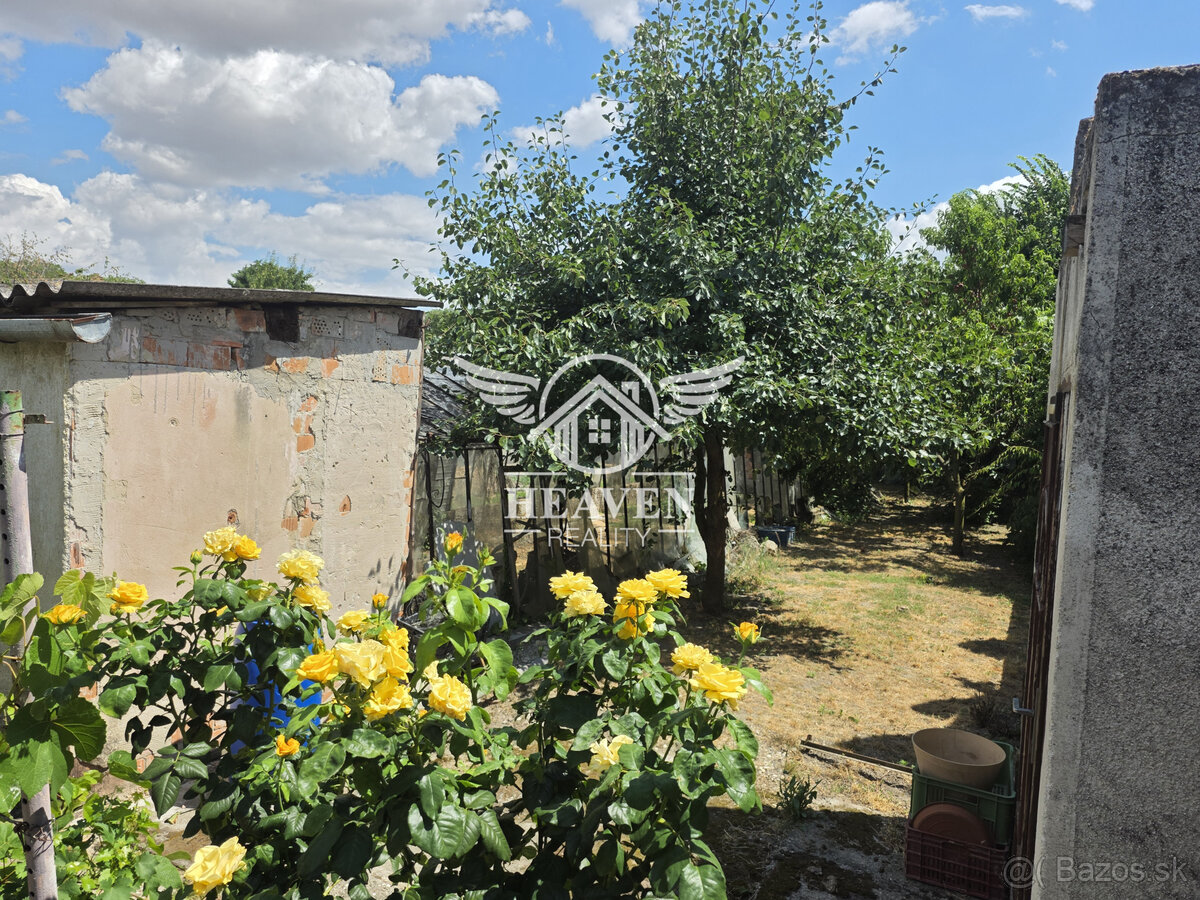 Fotografia 13