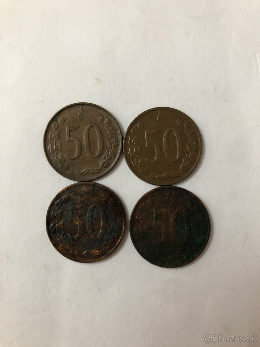 Mince (50h/10h/20h) - 13