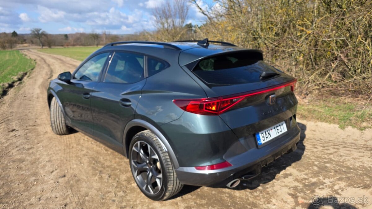 Cupra Formentor VZ 2.0 TSI (245 k) - 13