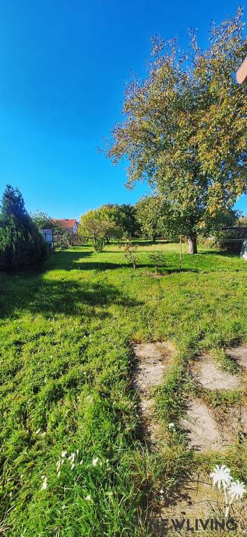 PREDAJ: rodinný dom, Chtelnica - 13