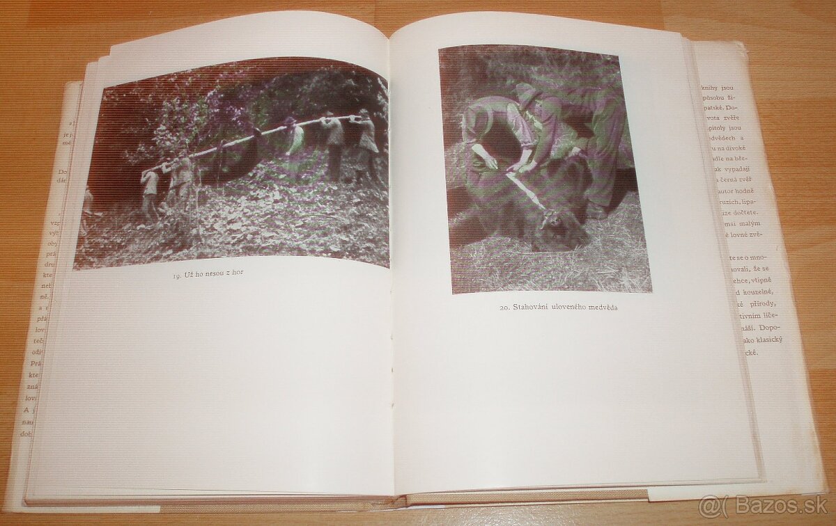 Lovy v Karpatech - 13