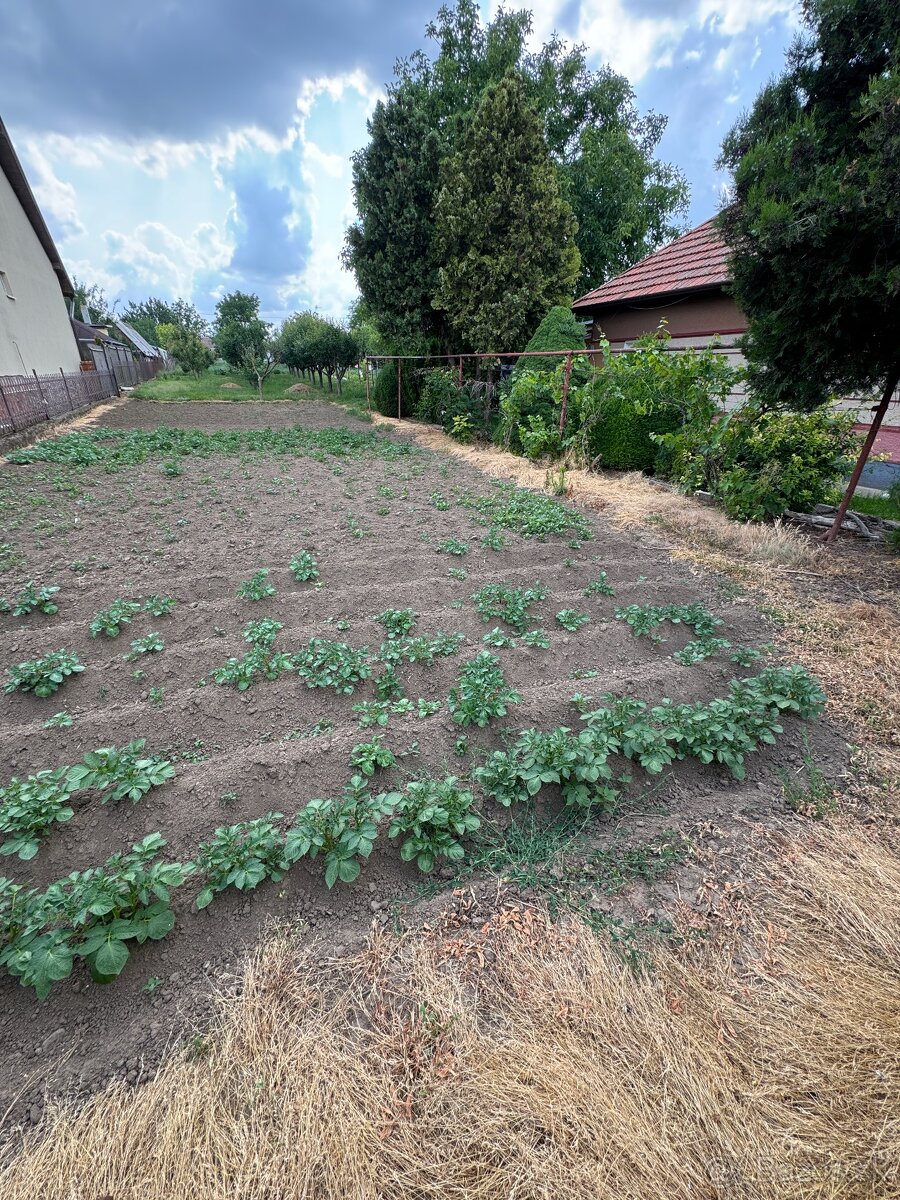 Dom v Jasovej 4i - 13