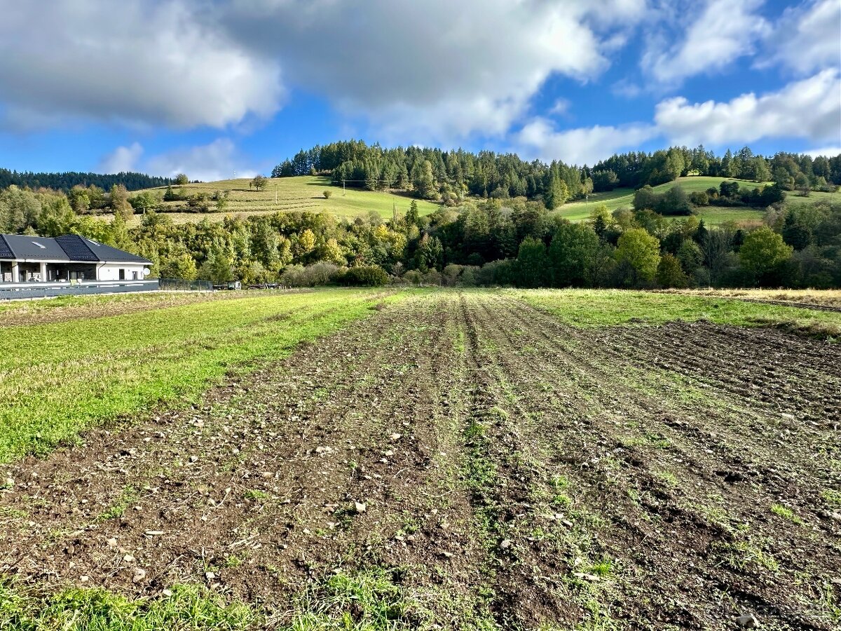 Na predaj pozemok Veľká Franková, vhodný na RD alebo chaty. - 13