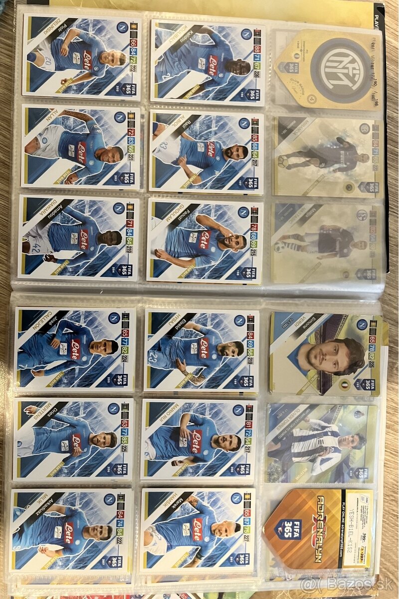 Panini 2019 Fifa 365 Binder - 13