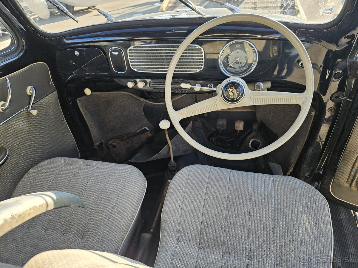 Volkswagen chrobak OVAL 1956 s TP - 13