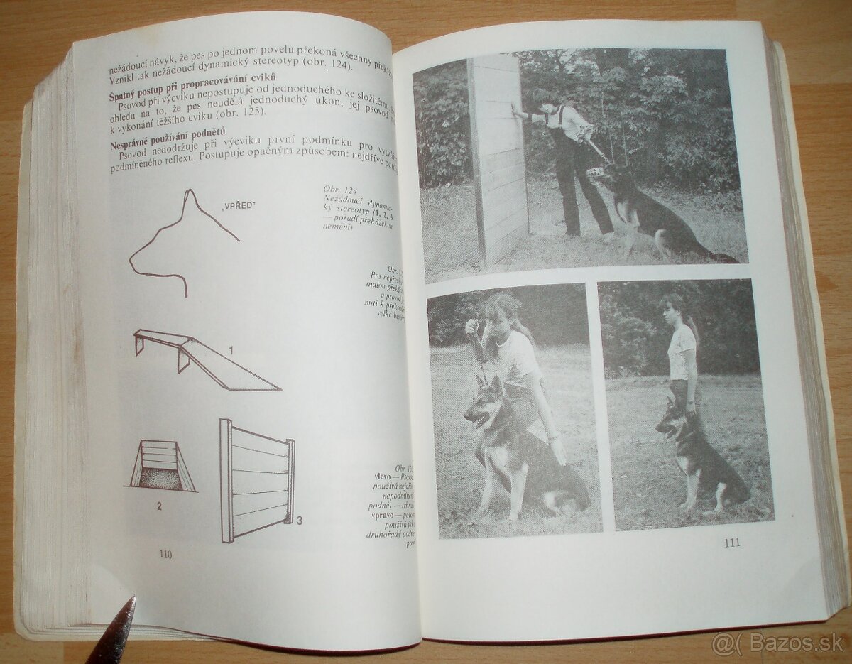 Pes a jeho výcvik - 13