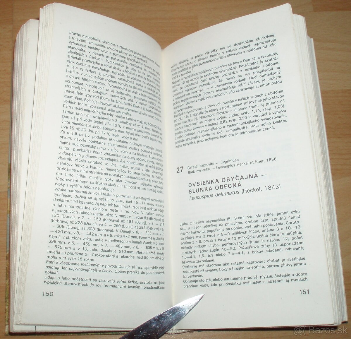 Atlas rýb - 13