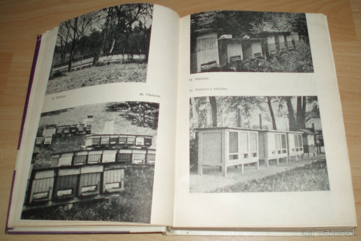 Včelářuv rok - 13
