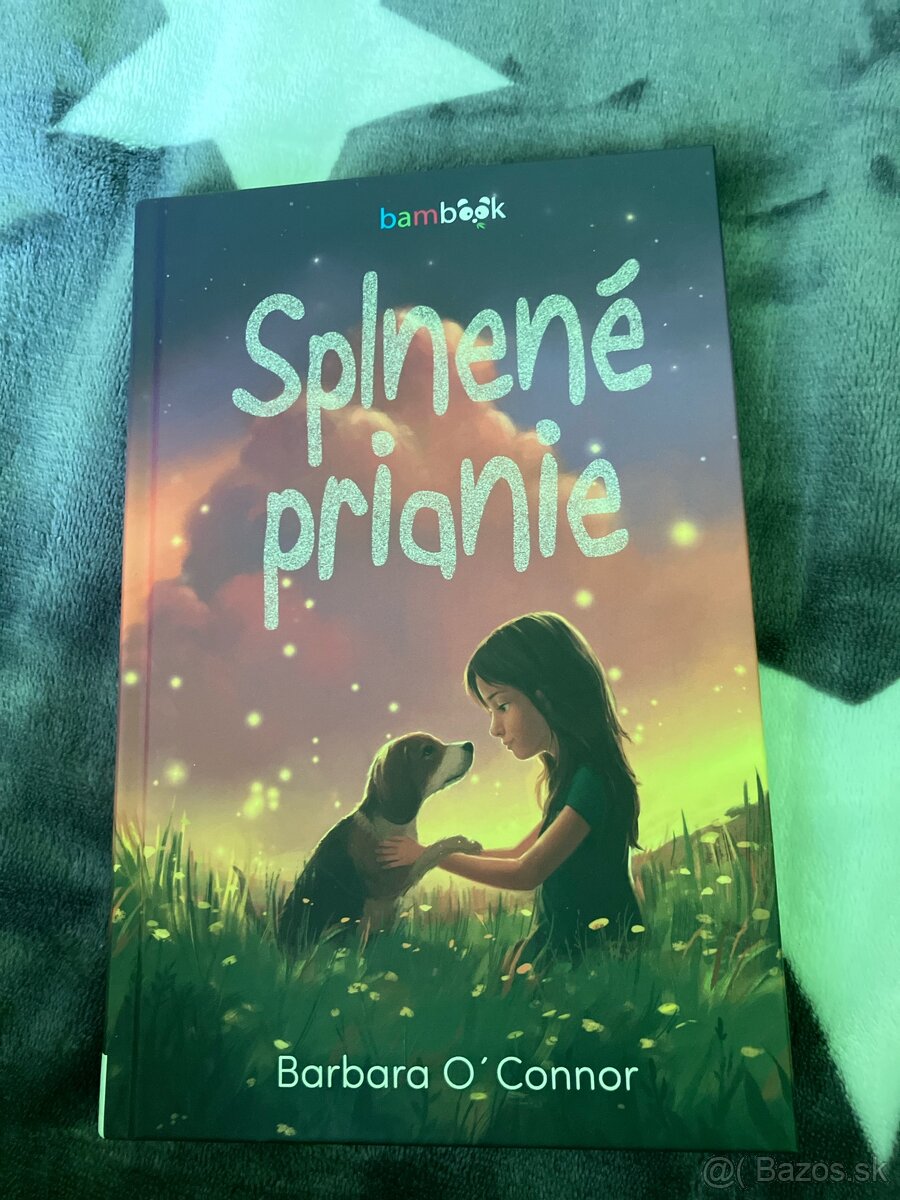 Knihy na predaj - 13