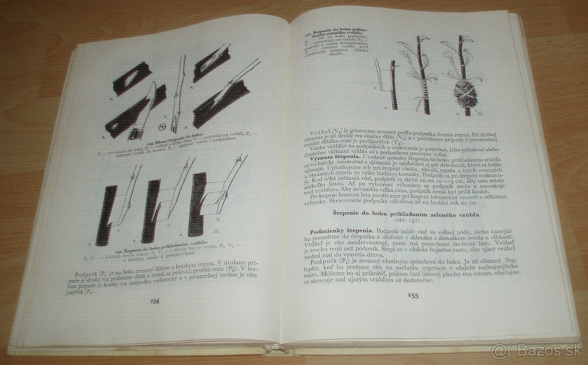 Štepenie, očkovanie a preštepovanie drevín - 13