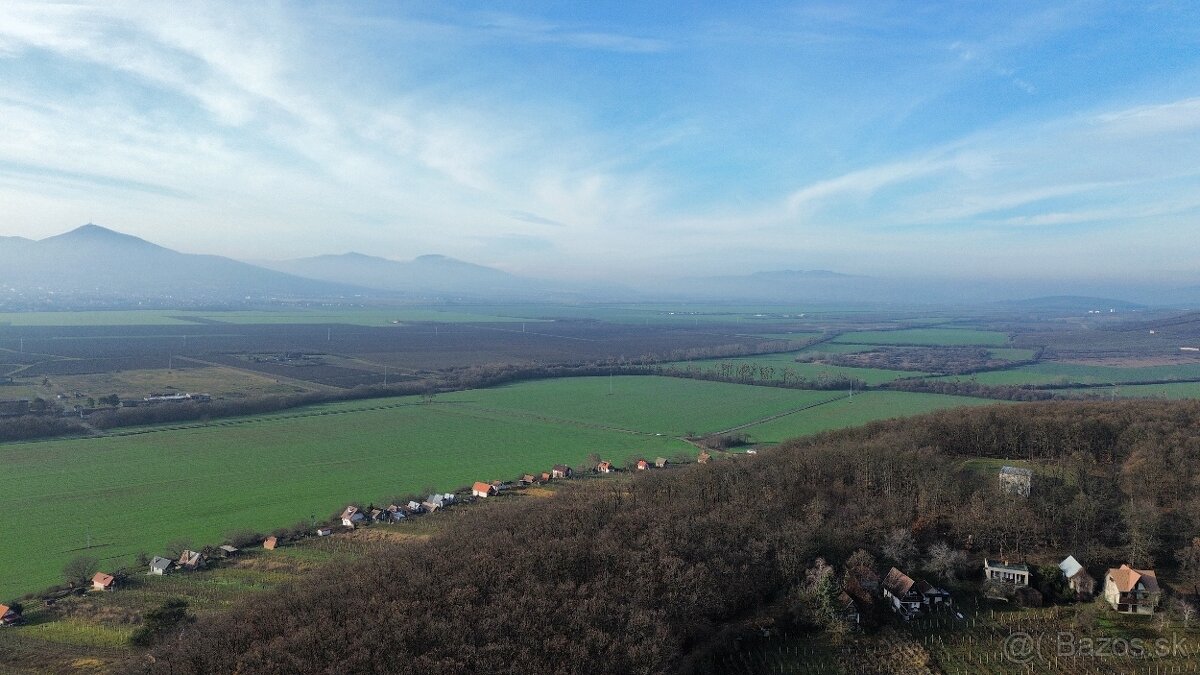 VINICE, TOKAJ- VINIČKY - 13